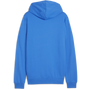 puma Teamgoal 24 Causals Hoodie
