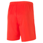 Puma TeamGoal 23 Knit Short