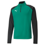 Puma Team Liga 25 Quarter Zip Top