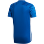 Camiseta adidas Campeón 21