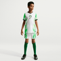 Nike Youth Nigeria Away 2026 Stadium Jersey