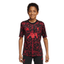 Camiseta adidas del Liverpool FC 2025-26 para jóvenes antes del partido