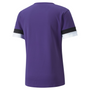 Camiseta Puma Team Rise
