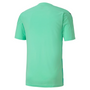 Camiseta gráfica Puma TeamFinal 21