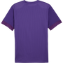 Puma TeamGOAL Matchday Jersey