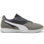 puma King Top It Indoor Gray White