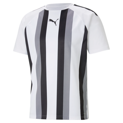 Puma Team Liga 25 Stripe Jersey