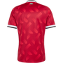 adidas Men's United Arab Emirates Away 2026 Stadium Jersey