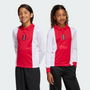 adidas Youth Ajax Amsterdam 125th Anniversary Ls Jersey