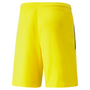 Pantalón corto Puma Team Liga 25
