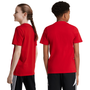 adidas Arsenal Youth Short Sleeve DNA Graphic Tee