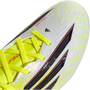 adidas Youth F50 Elite FG Born for Goals