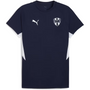 Puma Monterrey Men's Evostripe Tee
