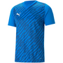 Puma TeamUltimate Jersey