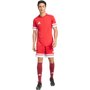 Camiseta de manga corta Adidas Squadra25