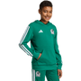Sudadera con capucha adidas México Youth DNA