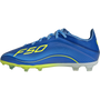 adidas Messi F50 Youth Elite FG Vis10n