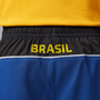 Nike Men's Brazil Jordan Brooklyn Shorts