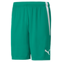 Pantalón corto Puma Team Liga 25