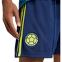 adidas Men's Colombia Away 2026 Stadium Shorts