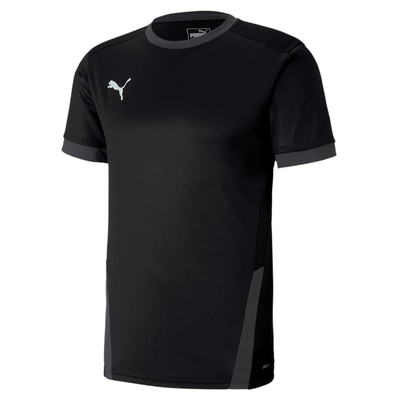 Puma TeamGoal 23 Jersey