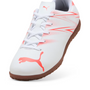 puma Attacanto Youth Indoor Shoes