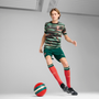 puma Portugal Men’s Pre Match Jersey