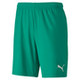 Puma TeamGoal 23 Knit Short