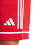 Pantalón corto Adidas Squadra 25