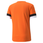 Camiseta Puma Team Rise