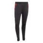 adidas Manchester United 2024-25 Men's Training Pant