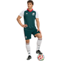 adidas Men's Mexico Away Pre-Match Jersey
