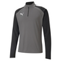 Puma Team Liga 25 Quarter Zip Top