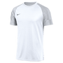 Camiseta Nike Dri-Fit de manga corta Academy
