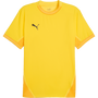 puma Teamfinal Jersey