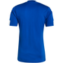 Camiseta adidas Squadra 21