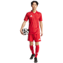 adidas Team Icon 25 Short Sleeve Jersey