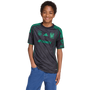 adidas Tigres UANL 2025-26 Youth 3rd Jersey