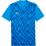 Puma TeamGLORY Jersey