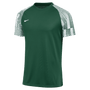Camiseta Nike Dri-Fit de manga corta Academy