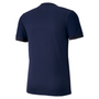 Camiseta Puma TeamGoal 23
