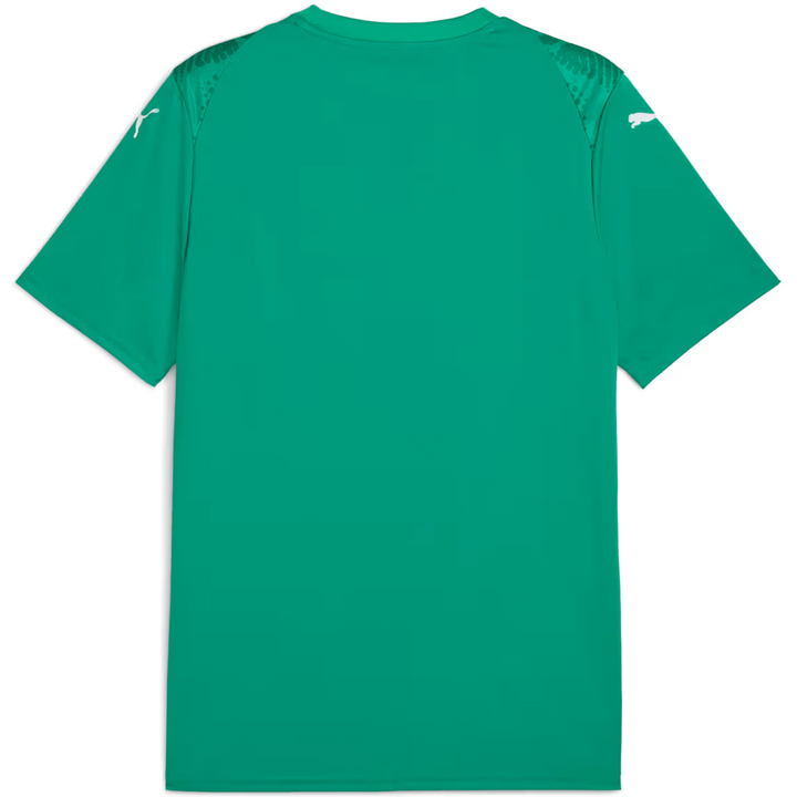 puma Teamultimate Jersey Electro Royal Puma White