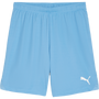Pantalón corto Puma TeamGOAL