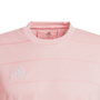 Camiseta adidas Campeón 21