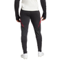 adidas Manchester United 2024-25 Men's Training Pant