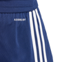 Pantalón corto Adidas Squadra 25