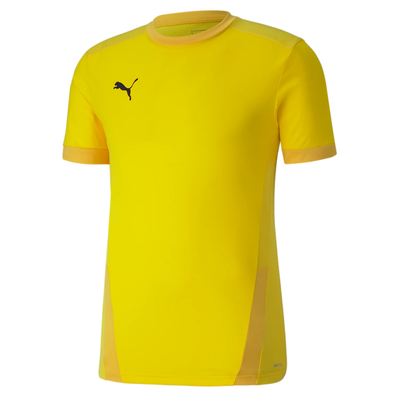 Puma TeamGoal 23 Jersey