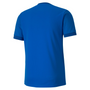 Camiseta Puma TeamGoal 23