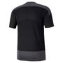 Camiseta de entrenamiento Puma TeamGoal 23