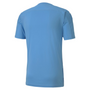 Camiseta gráfica Puma TeamFinal 21